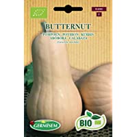Germisem Orgánica Butternut Semillas de Calabaza 2 g (ECBIO4002)